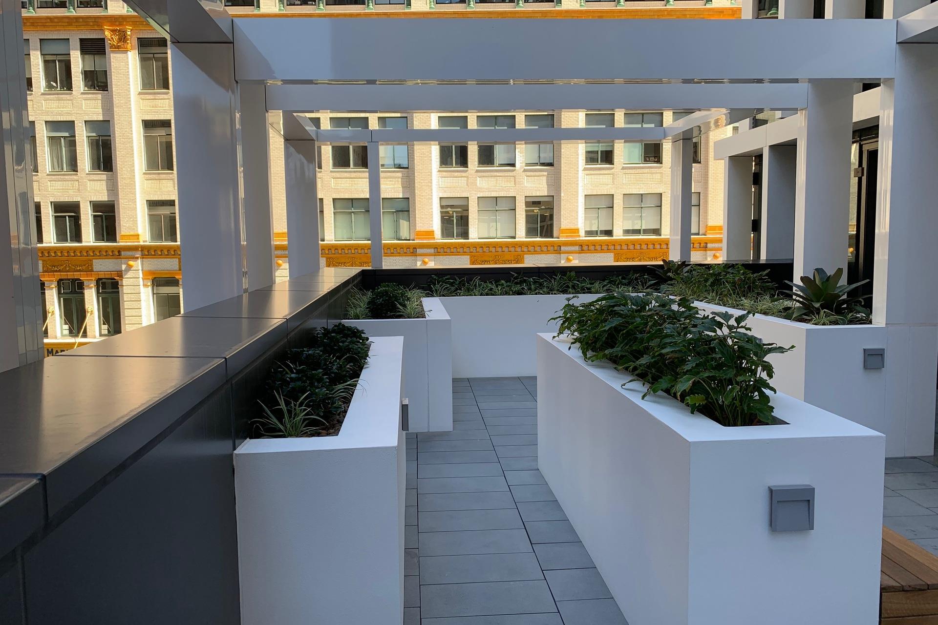 3003/130 Elizabeth St, Sydney, NSW 2000