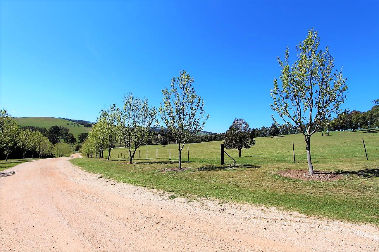 310 Curly Dick Rd, Meadow Flat, NSW 2795 Livestock Sold December 2019