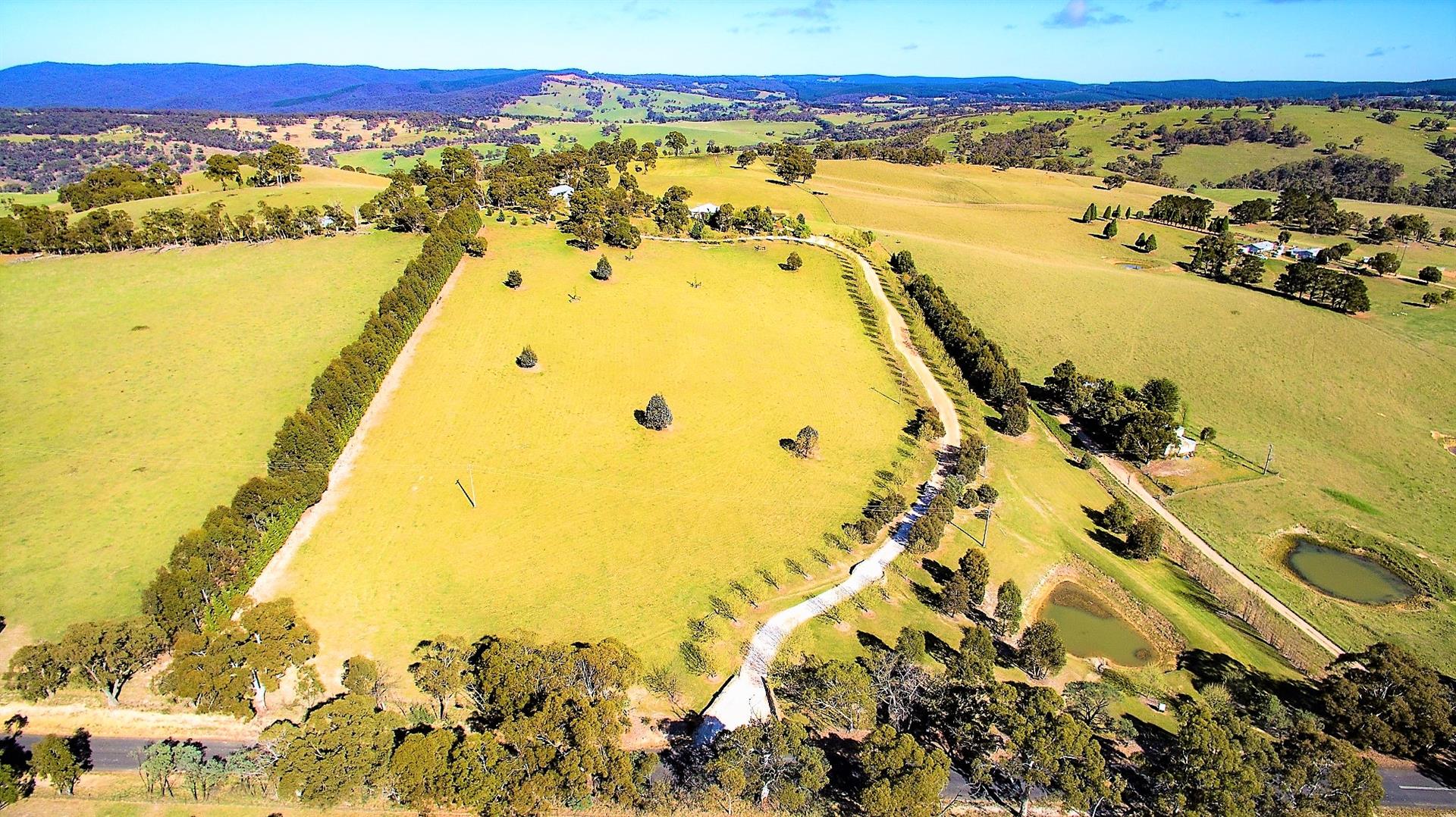 310 Curly Dick Rd, Meadow Flat, NSW 2795 Livestock Sold December 2019
