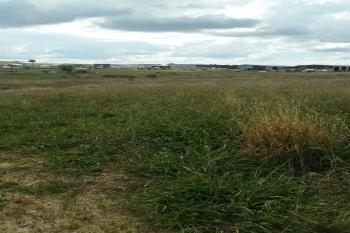 19 Elwin Dr, Orange, NSW 2800