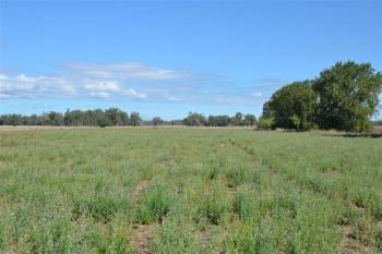 760 Harparary Rd, Harparary, NSW 2390