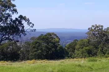 Lot 14 Graydons Pointer Rd, Yatte Yattah, NSW 2539