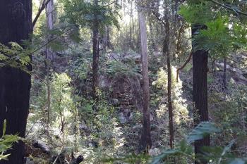 lot 29 Princes Hwy, Jerrawangala, NSW 2540