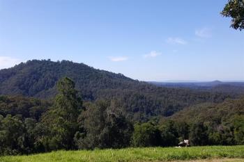 Lot 46/47 Cedar Hills Rd, Little Forest, NSW 2538