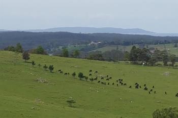 Lot 8 Croobyar Rd, Milton, NSW 2538