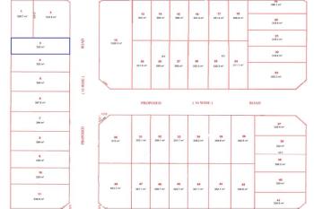 Austral, address available on request
