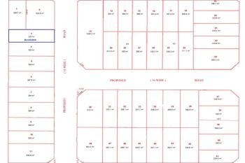 Austral, address available on request