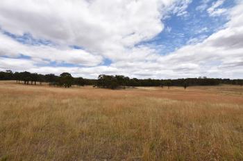 329 Cockatoo Rd, Yalbraith, NSW 2580