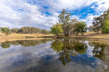411 Lower Lewis Ponds Rd, Orange, NSW 2800