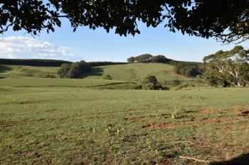 Wingello, address available on request