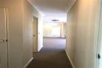 3/56 - 58 Cook St, Randwick, NSW 2031