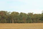 Lot 3 Coppleson Dr, Narrabri, NSW 2390
