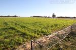 154 Highfield Lane, Narrabri, NSW 2390