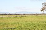 154 Highfield Lane, Narrabri, NSW 2390