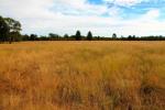 337 Gun Club Rd, Narrabri, NSW 2390