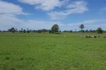 Lot 128 Casino-Coraki Rd, Tatham, NSW 2471