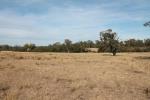 Lot 5 1489 Kaputar Rd, Narrabri, NSW 2390