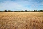 Lot 6 1489 Kaputar Rd, Narrabri, NSW 2390