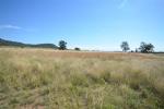 4307 Grain Valley Rd, Boggabri, NSW 2382