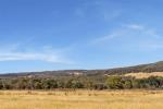 Lot 14 Corriedale Dr, Marulan, NSW 2579