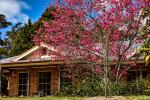 26 Ashgrove Pl, Bundanoon, NSW 2578