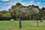 181 Penrose Rd, Bundanoon, NSW 2578
