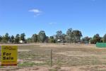 8712 Lachlan Valley Way, Forbes, NSW 2871