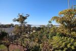 20 Whitbread Dr, Lemon Tree Passage, NSW 2319